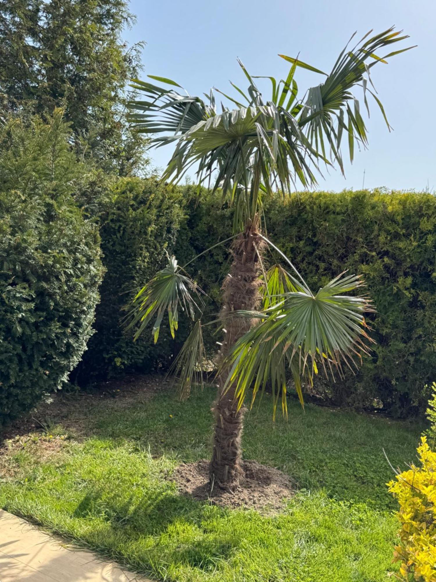 Villa Holiday Balchik Eksteriør billede